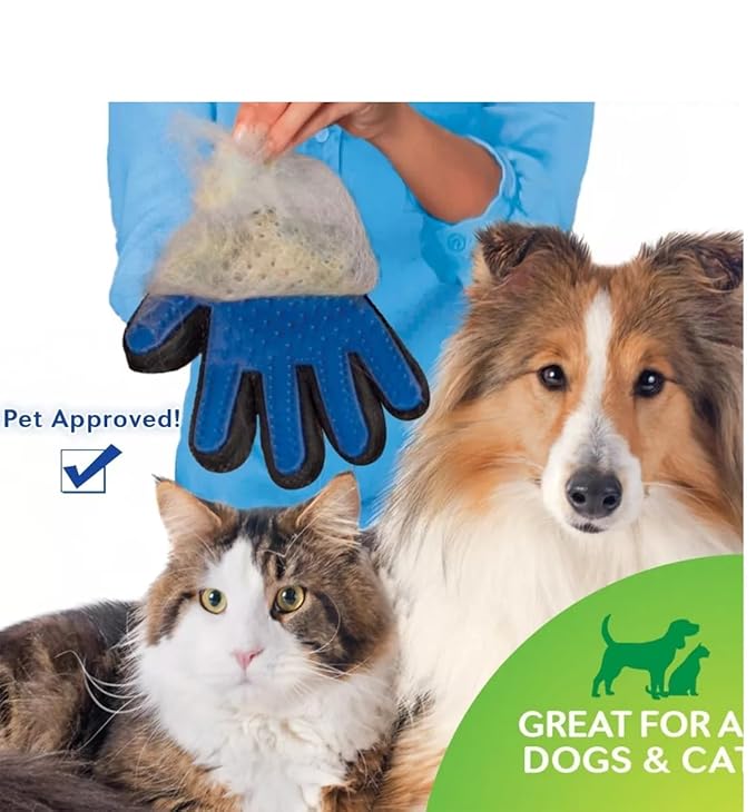 Dog Grooming Gloves for Cats and Dogs, Soft Rubber Pet Grooming Gloves with Comfortable Handle for Cleaning Dirty Paws, Dirty Dog Brushing Gloves for Cats and Dogs, 1 Pair Blue