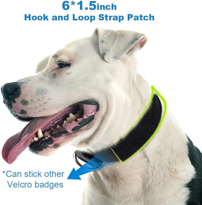 TSPRO Tactical Dog Collar, Adjustable, with Patch & Double Needle Metal Buckle, Heavy Duty for Large to Extra Large Dogs, Durable for Walking, Running, Hiking & Training (Green L-XL)