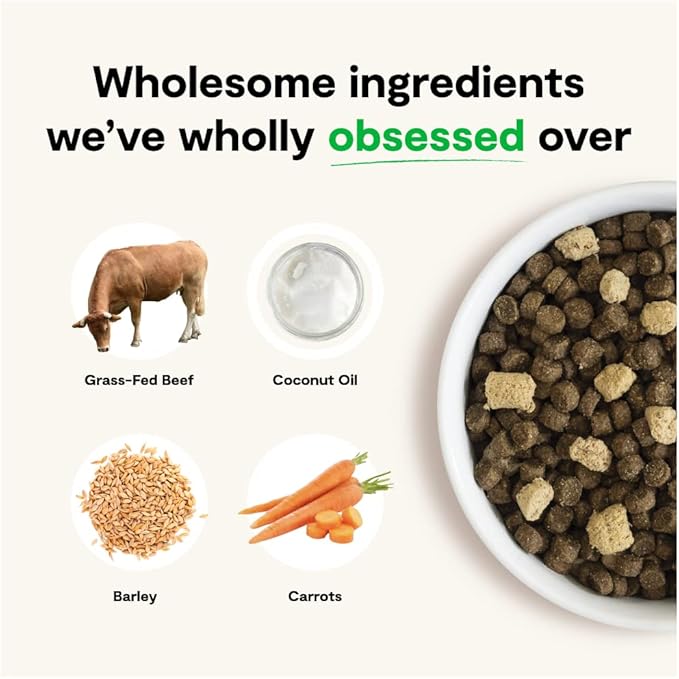 Open Farm, RawMix Dry Dog Food with Ancient Grains, Protein-Packed Kibble Coated in Bone Broth with Freeze Dried Raw Chunks, Beef Pork & Lamb, Front Range Recipe, 20lb Bag