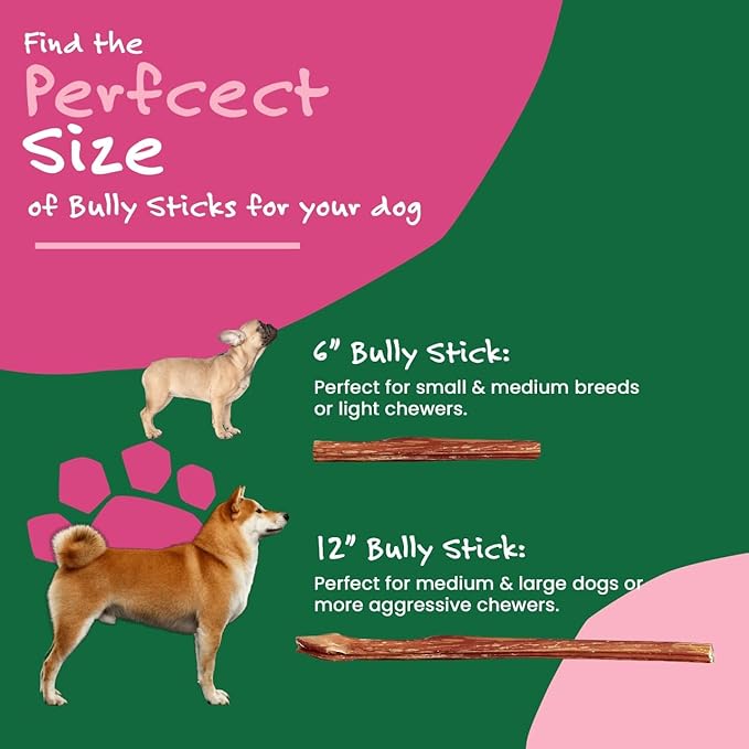 Willow & I Bully Sticks for Dogs -6 Inch Natural Bully Sticks for Medium Dogs, Small & Large- Premium 100% Grass Fed, Single Ingredient, Long Lasting, High Protein-Grain & Rawhide Free (6", 6 Pack)