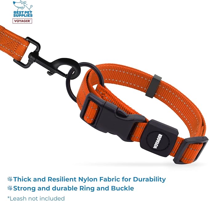 Best Pet Supplies Reflective Dog Collar with Adjustable Length, Heavy-Duty Buckle, and Strong Leash D-Ring, Training, Walking, Jogging Accessory for Small, Medium, and Large Breeds - Orange, S