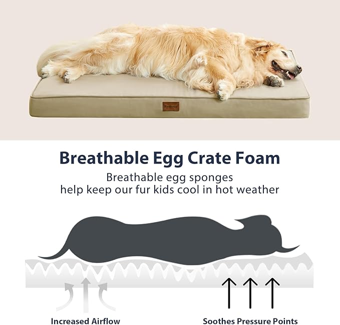 BFPETHOME Outdoor Dog Bed for Large Dogs, Waterproof, Orthopedic with Removable Washable Cover, Egg Crate Foam Mat (36 x 27in, Beige)