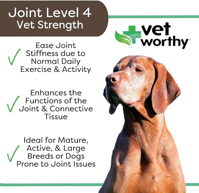 Vet Worthy Joint Support Level 4 - Chewable Tablet| Supports Bone Health and Healthy Joints - Dog Supplement with Glucosamine and Hyaluronic Acid | Vet Strength Joint Care | Liver Flavor, 60-Count