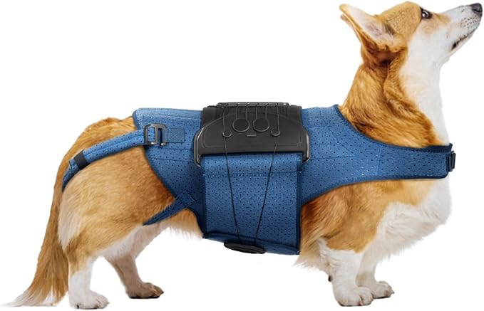 Dog Back Brace for IVDD, Arthritis, Slipped and Herniated Discs – Provides Back Support and Pain Relief, Stabilizes Spine for Surgical Recovery and Mobility, Dogs Back Disease Prevention(Blue,M)