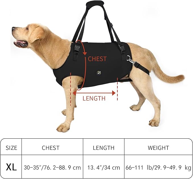 Coodeo Dog Lift Harness, Pet Support & Rehabilitation Sling Lift Adjustable Padded Breathable Straps for Old, Disabled, Joint Injuries, Arthritis, Loss of Stability Dogs Walk (Black, XL)