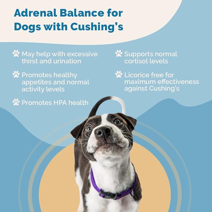 PranaPets Adrenal Balance for Dogs with Cushing's | Naturally Relieves Symptoms of Cushing's Disease in Dogs | Licorice Free Herbal Formula for Dogs with Cushing's Disease - 2 Pack