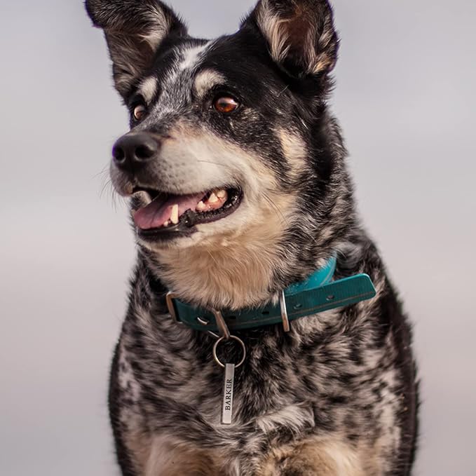 Dogs ID Tags Personalized Four Sided Deep Engraved Cat & Dog Collar Charm Bar Shape Brass Small