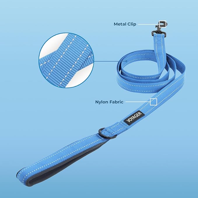 Voyager Reflective Dog Leash with Neoprene Handle, 5ft Long, Supports Small, Medium, and Large Breed Puppies, Cute and Heavy Duty for Walking, Running, and Training - Baby Blue (Leash), L