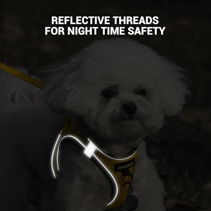 Dog Harness and Leash Set, Dog Harness for Dogs No Pull, No-Chock Step-in Reflective Breathable Lightweight Easy Walk Vest Harnesses with Safety Buckle for Small Medium Dogs, Cats (Yellow, XXS)