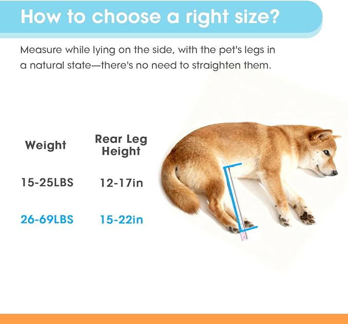 TailWaggers Small Dog Wheelchair for Back Legs | Adjustable Mobility Aid | All-Terrain Wheels