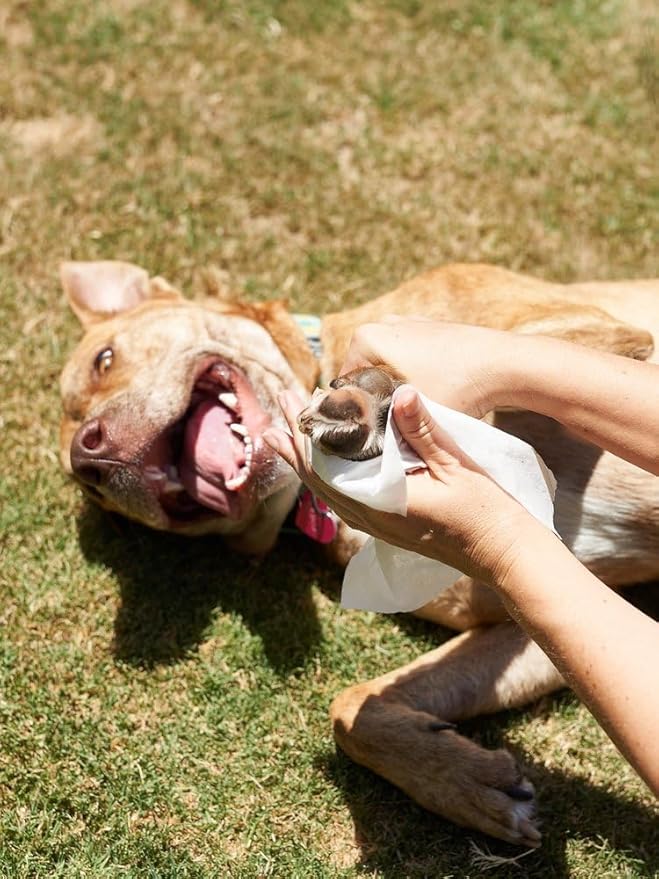 Dog All Purpose + Allergy Pet WiPees™ – 100 Allergy Wipes for Dogs, All Natural Dog Wipes for Paws, Folds & Hot Spots, Daily Pet Wipes for Allergy Relief & Skin Health (Calming, 100ct)