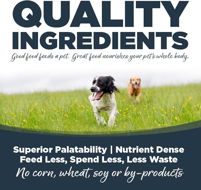 NutriSource Harvest Selects Northern Feast Dog Cans, Premium Wet Dog Food, 12.3 Ounce (Pack of 12)