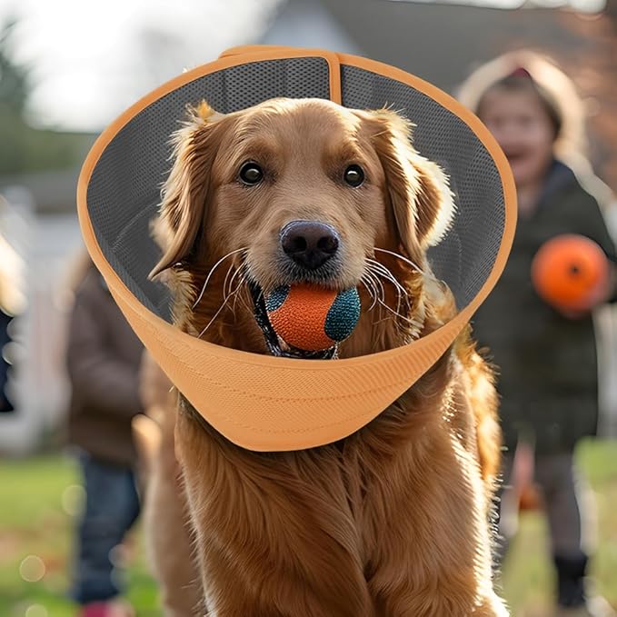 Inspack Soft Dog Cone Collar Alternative, E Cones for Medium Small Dogs/Cat to Stop Licking After Surgery, Neuter Recovery Ecollars of Shame Alternatives, Comfortable Paws Comfy Elizabethan Collars