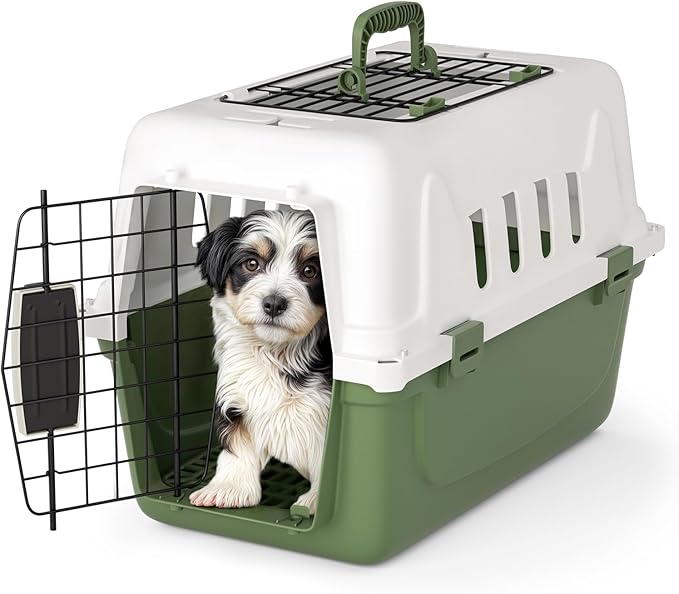 Magshion 18 Inch Pet Carrier Hard-Sided Dog Carrier with Top and Front Door Access, Plastic Dog Kennel for Longer Traveling, Durable Handle and 4 Sides Ventilation for Pet Up 10 lbs (White+Green)