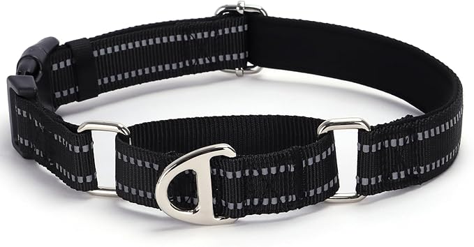 Martingale Collar for Dogs - Reflective Nylon, No Slip Choke Heavy Duty Collar with Quick Release Buckle- Safe Fit for Training & Walking Black S