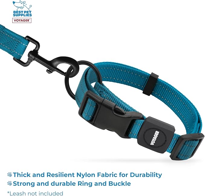 Best Pet Supplies Reflective Dog Collar with Adjustable Length, Heavy-Duty Buckle, and Strong Leash D-Ring, Training, Walking, Jogging Accessory for Small, Medium, and Large Breeds - Turquoise, M