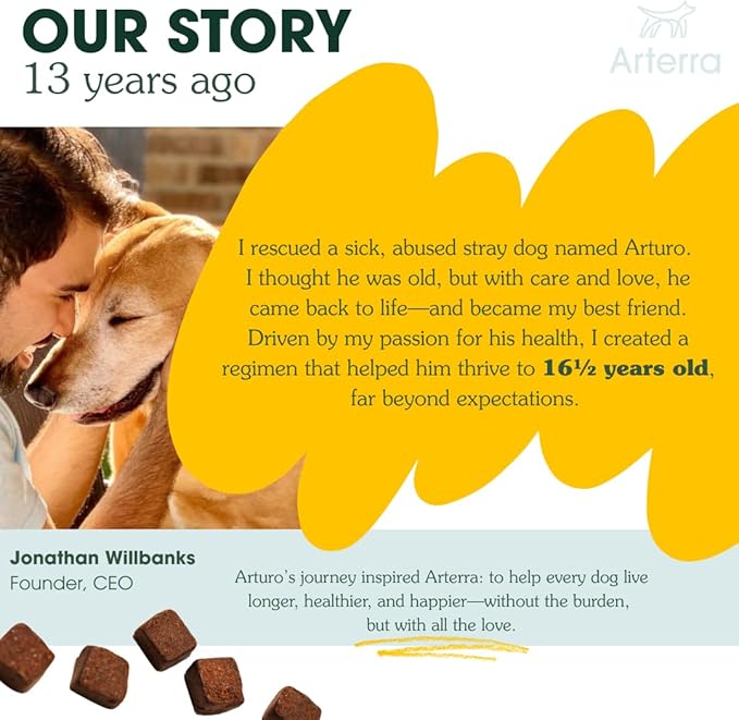 Arterra Longevity Multivitamin for Dogs – 50% Active Ingredients – Vet-Formulated Daily Soft Chews for Gut, Brain, Joint & Immune Health – Human-Grade Supplement | 120 Count