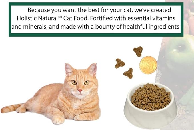 Bench & Field Holistic Natural Premium Adult Dry Cat Food, Chicken Meal and Brown Rice Recipe 3 lb Bag (Pack of 1)