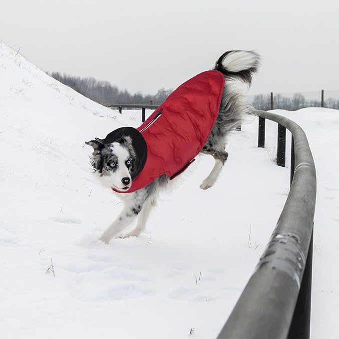 Nanaki Small Dog Puffer Jacket with Leash Hole, Warm Winter Coat Dog Puffer Coat Reflective, Lightweight Windproof Snowsuit for Hiking Walking Outdoor Activities, Halloween Christmas Easy on, Red