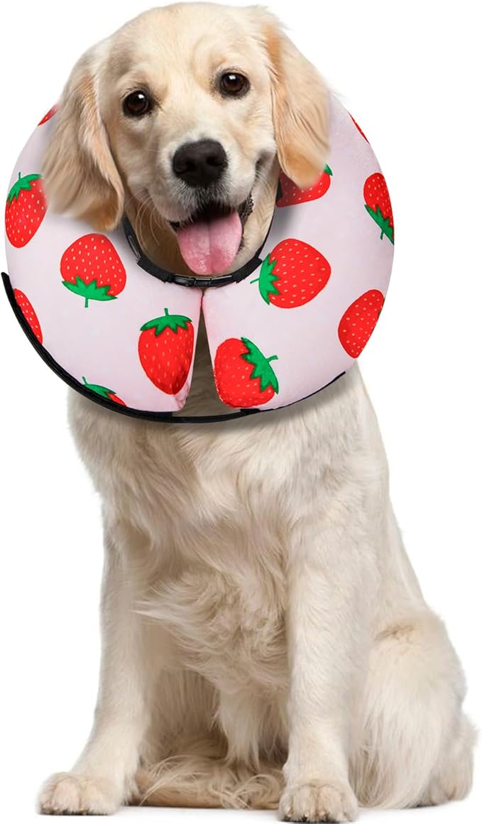 MIDOG Inflatable Dog Cone Alternative for After Surgery - Soft Protective Donut Collar Prevents Licking, Comfortable Recovery E-Collar Alternative for Small Medium Large Dogs (Strawberry,L)
