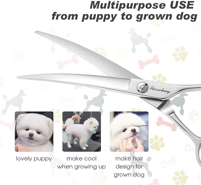Dog Cat Scissors for Grooming, Pet Shears for Thick Coats and Matted Hair, Thinner Curved Straight Chunker Stainless Steel Shears (8.0" Curved Silver)
