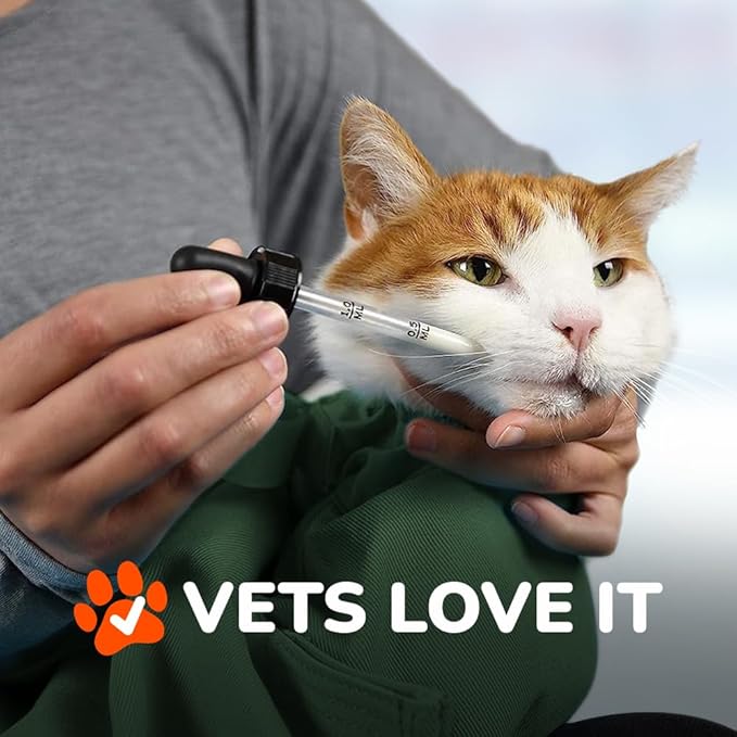 Cat-in-the-Bag Cozy Comfort Carrier - X-Large Green Cat Carrier, Cat Holder for Cutting Nails, & Cat Carrier Pouch for Vet Visits, Medication Administration, Dental Care, & Travel