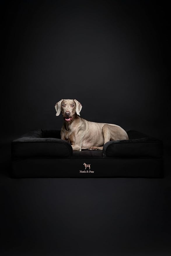 NOAH & PAW XL Dog Bed, 45x35x11 Inch, Orthopedic Large Dog Beds, Eggshell Memory Foam Infused with Cooling Gel, Inner Cover, Waterproof, Machine Washable (Denim Sofa Collection)