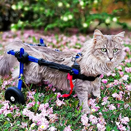 Walkin' Wheels Lightweight – for Small Cats 2 to 20 Pounds – Veterinarian Approved – Cat Wheelchair for Back Legs, for Cats 2-10 lbs, 2-5 inches Leg Height – Blue