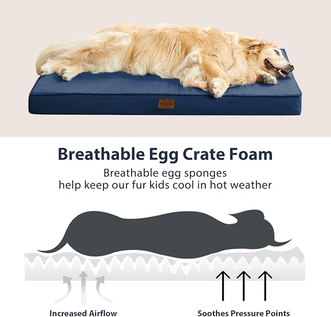 BFPETHOME Outdoor Dog Bed for Medium, Large, Extra Large Dogs - Waterproof, Orthopedic With Removable Washable Cover, Egg Crate Foam Mat (42 x 30 in, Navy)