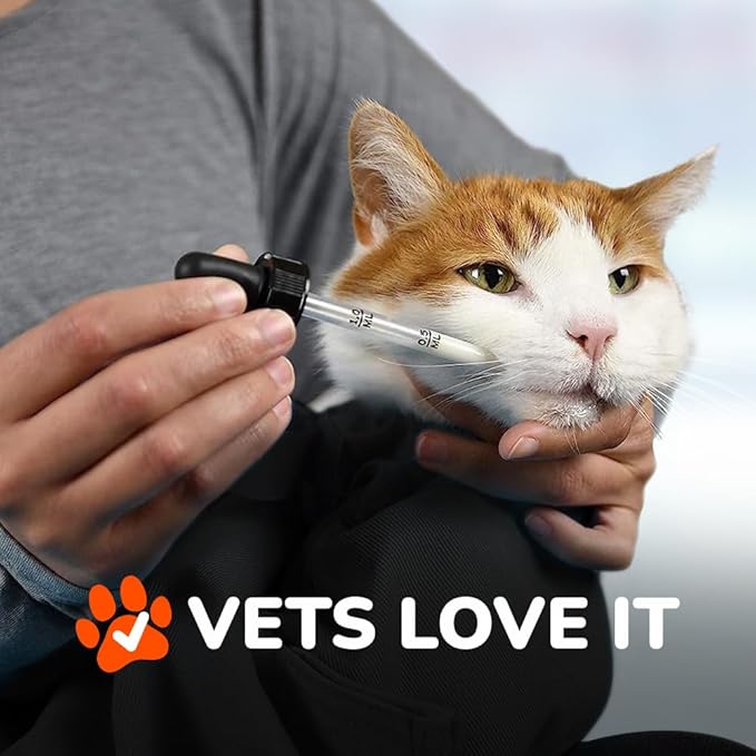 Cat-in-the-Bag Cozy Comfort Carrier - Small Charcoal Grey Cat Carrier Bag, Soft Cat Carrier and Cat Wrap for Nail Clipping, Vet Visits, Medication Administration, Dental Care, and Traveling