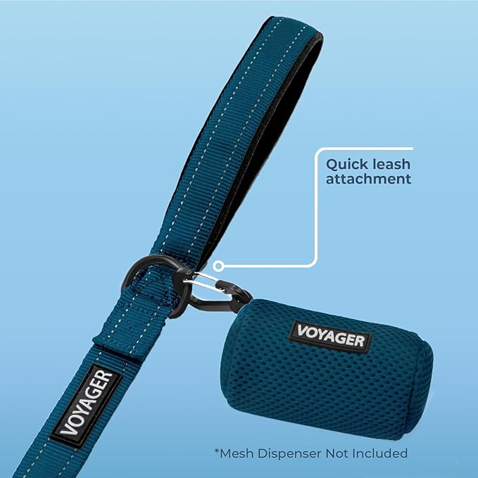 Voyager Reflective Dog Leash with Neoprene Handle, 5ft Long, Supports Small, Medium, and Large Breed Puppies, Cute and Heavy Duty for Walking, Running, and Training - Blue (Leash), L