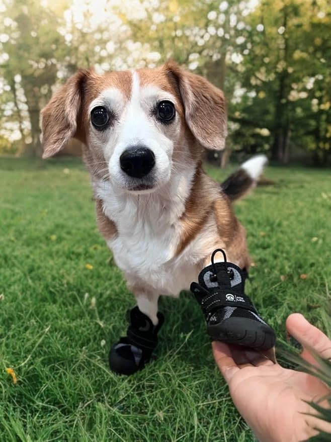 Dog Shoes for Large Medium Small Size Dogs, Breathable Dog Boots&Paw Protectors for Summer Hot Pavement Winter Snow, Waterproof Anti Slip Dog Booties for Outdoor Walking Hiking Hardwood Floor