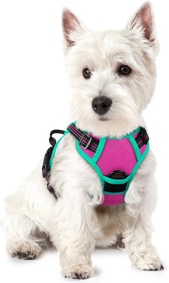 rabbitgoo Dog Harness No Pull with 2 Leash Clips, Adjustable Soft Padded, Reflective Oxford No Choke Pet Vest with Easy Control Handle for Large Dogs, Hot Pink & Turquoise, XS