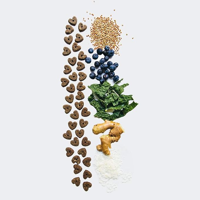 V-Dog Vegan Wiggle Biscuit Organic Dog Treats, Peanut Butter, 10 Ounce, Superfoods