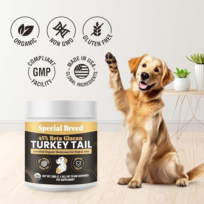 Organic Turkey Tail Mushroom for Dogs & Cats - Hot Water Extracted 45% Beta-Glucan USDA Mushroom Powder for Immune Support, Gut Health, Holistic Defense - No Fillers, Made in The USA - 660 Scoops