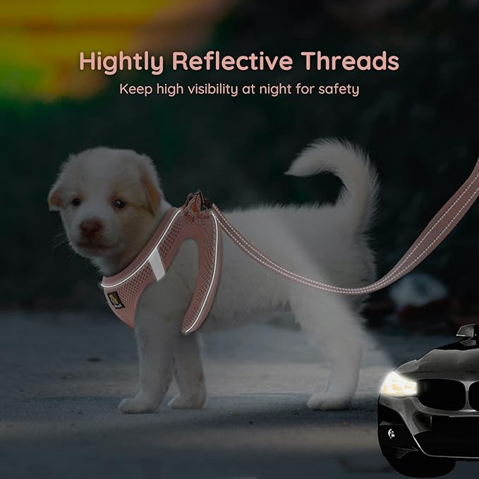 BELLA & PAL Step in Vest Harness for Small and Medium Dogs, No Pull Small Dog Harness with Leash Set, Comfortable Air Mesh Dog Vest Harness with Reflective Strip (Coral Pink, S)