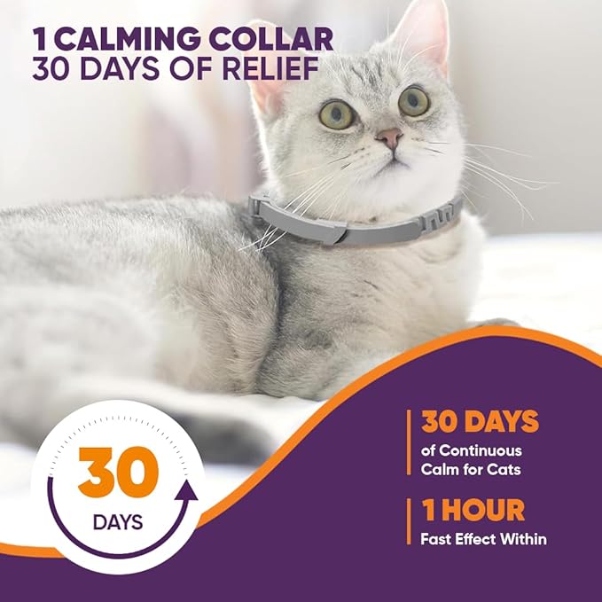 Calming Collars for Cats 6 Pack Grey & White Pheromone Cat Anxiety Collar Natural Stress Relief for Scratching, Marking & Loud Noises Adjustable Calming Collar for Kittens & Cats