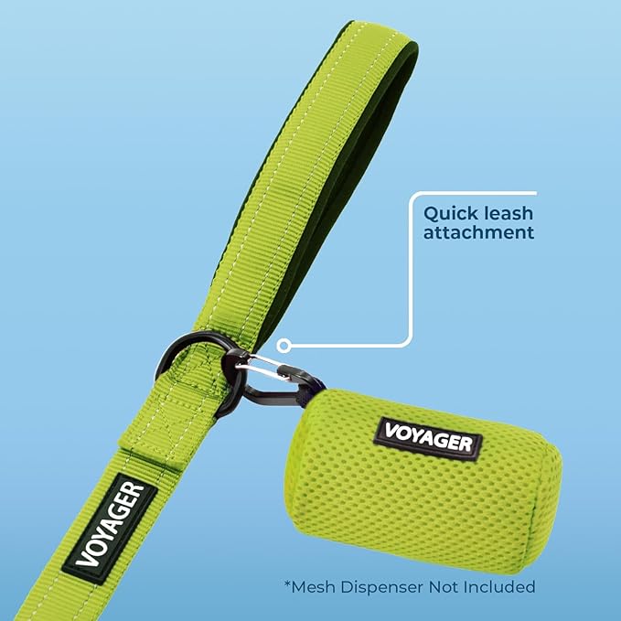 Voyager Reflective Dog Leash with Neoprene Handle, 5ft Long, Supports Small, Medium, and Large Breed Puppies, Cute and Heavy Duty for Walking, Running, and Training - Lime Green (Leash), M