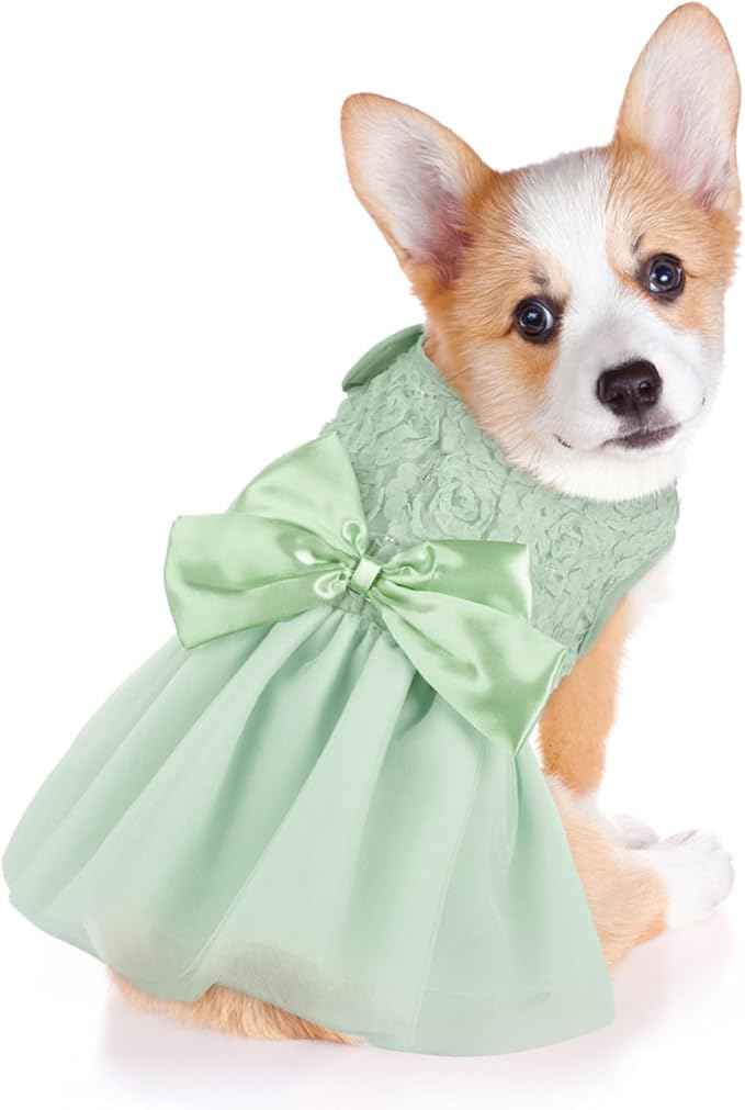 ASENKU Small Dog Dress Pet Wedding Dress Princess Lace Puppy Birthday Party Outfit Formal Apparel Girl for Only Small Medium Dogs Cats (Large, Green)