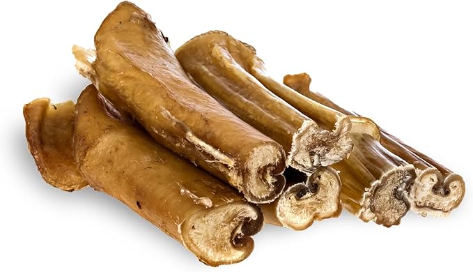 FOODIEPAWS Bully Stick Bites for Dogs, 1 lb Bulk Pack (2-3 Inch) | Training Treats | All Natural, Grass-Fed Beef Pizzle | Grain-Free, Rawhide-Free & Fully Digestible | High Protein Dental Chews