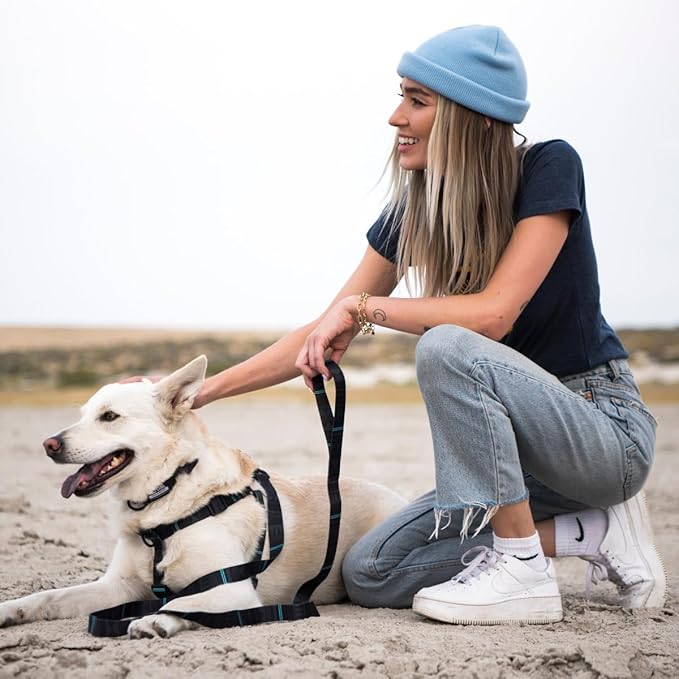 Wolfgang Heavy Duty Adjustable Dog Harness, Pull-Tested to Over 800 lbs for Walking & Training, NightOwl Print, Small