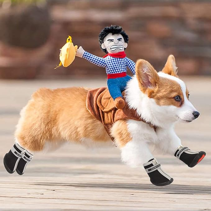 QUMY Dog Shoes for Small Dogs, Puppy Dog Boots & Paw Protectors for Winter Snow Day, Summer Hot Pavement, Waterproof in Rain Weather, Ourdoor Hiking, Indoor Hardfloor with Skid-Resistant Sole Black 3