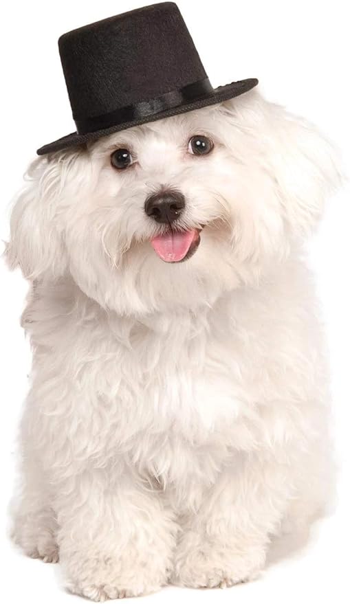 Rubies Top Hat Pet Hat for Dogs or Cats, S/M