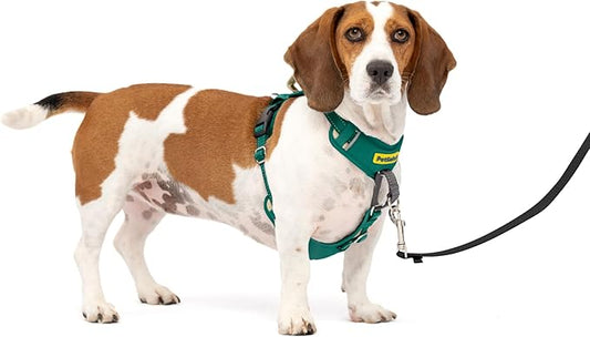 PetSafe Easy Walk Comfort No-Pull Dog Harness - Better Walk Training Harness - Full Body Padded Design - Durable Fabric - 5 Point Adjustable Fit - Everyday Leash Training - Green - Small/Medium