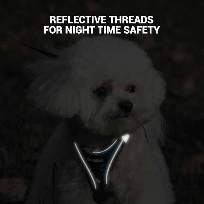 Dog Harness and Leash Set, Dog Harness for Dogs No Pull, No-Chock Step-in Reflective Breathable Lightweight Easy Walk Vest Harnesses with Safety Buckle for Small Medium Dogs, Cats (Blue, XXS)