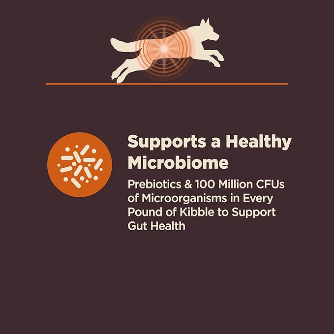 Wellness CORE Digestive Health Dry Dog Food, Wholesome Grains, Natural, Recipe for Dogs with Sensitive Stomachs, Chicken, (24-Pound Bag)