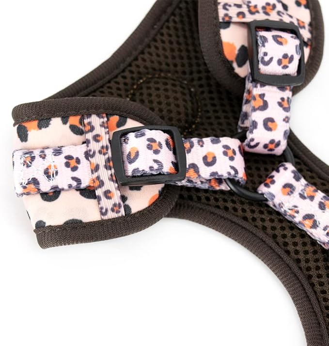 Dog Harness and Leash Set, Adjustable Dog Harness, Dog Leash, No Pull No Choke Puppy Harnesses for Walking Training for Small Medium Pet