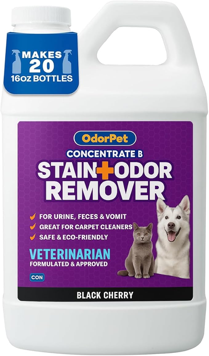 OdorPet Pet Stain Remover and Odor Eliminator - 64 Oz (Makes 2.55 Gallons of Working Solution) Non Staining, Professional Strength, Black Cherry Scent by Alpha Tech Pet