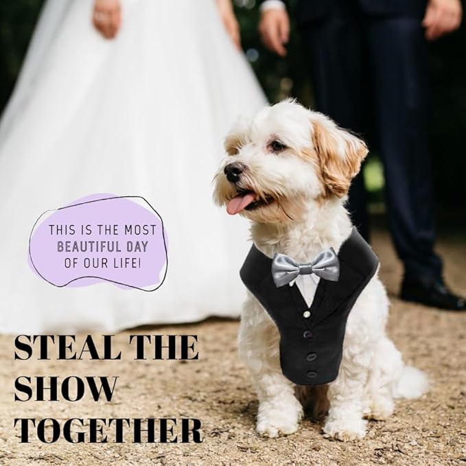 AVERYDAY Dog Tuxedo for Wedding Outfit, Dog Suit and Tie Costumes for Birthday, Halloween, Cosplay, Christmas Party, Pet Formal Wear with Bowtie, Tux for Small Dogs, Chihuahua, Bichon, Maltese, Cats