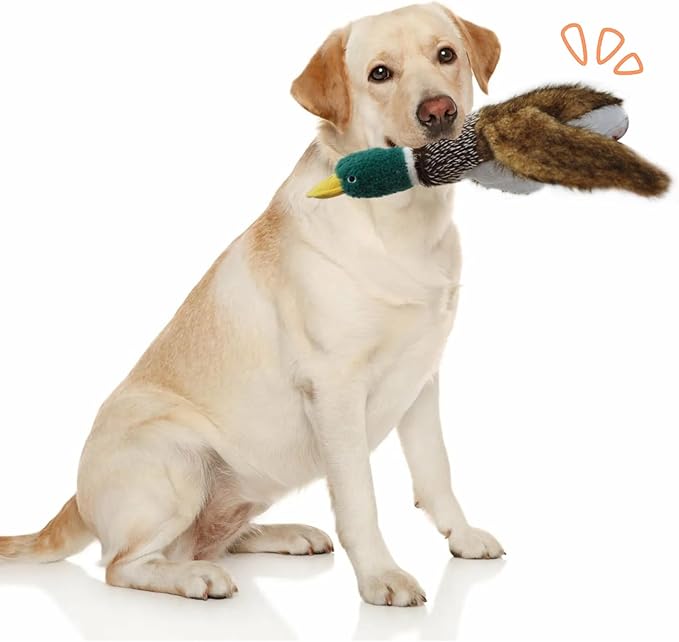 Dog Toys Interactive Mallard Duck Toy Puzzle and Squeaky Toy for Small Medium and Large Dogs Duck Toys, Stuffed Toy for Dog, Plush Toys for Dogs